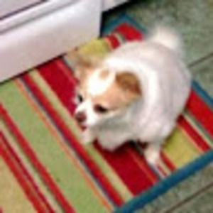 Meet your Posher, Mikele